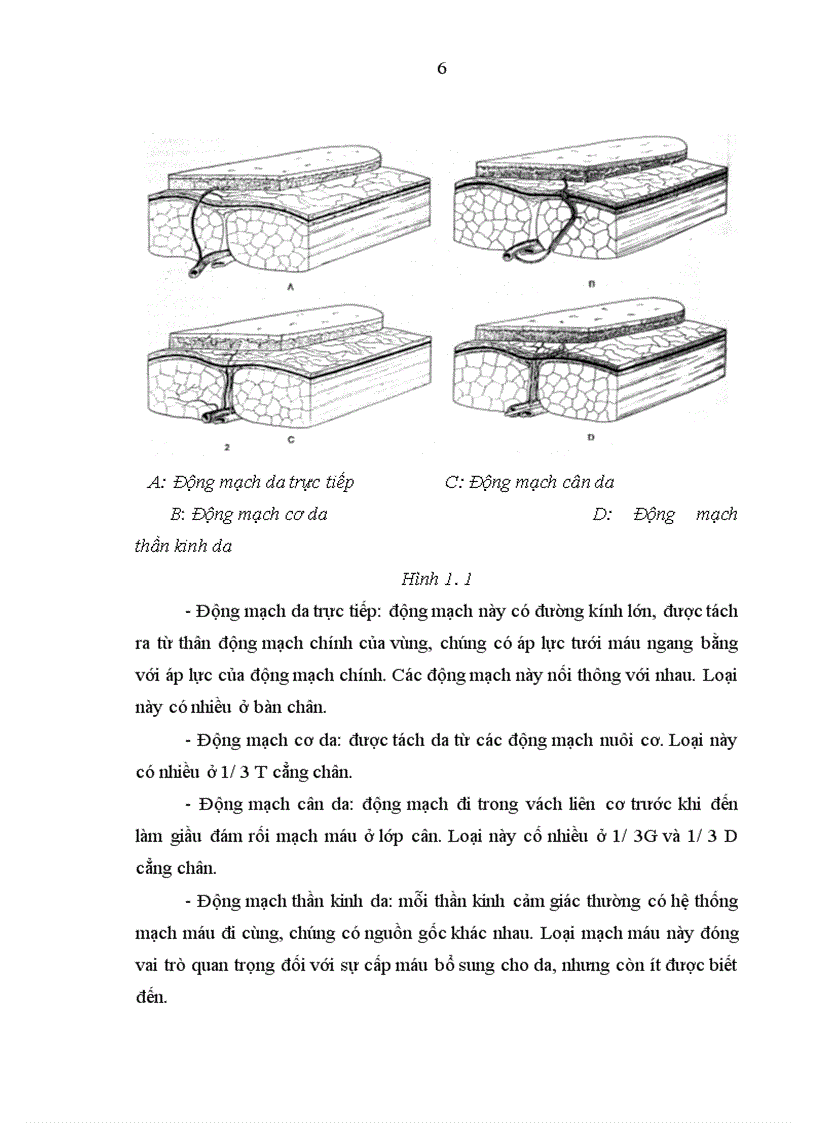 image for page Nghiên cứu vạt nhánh xuyên động mạch bắp chân trong và bước đầu ứng dụng trong phẫu thuật tạo hình