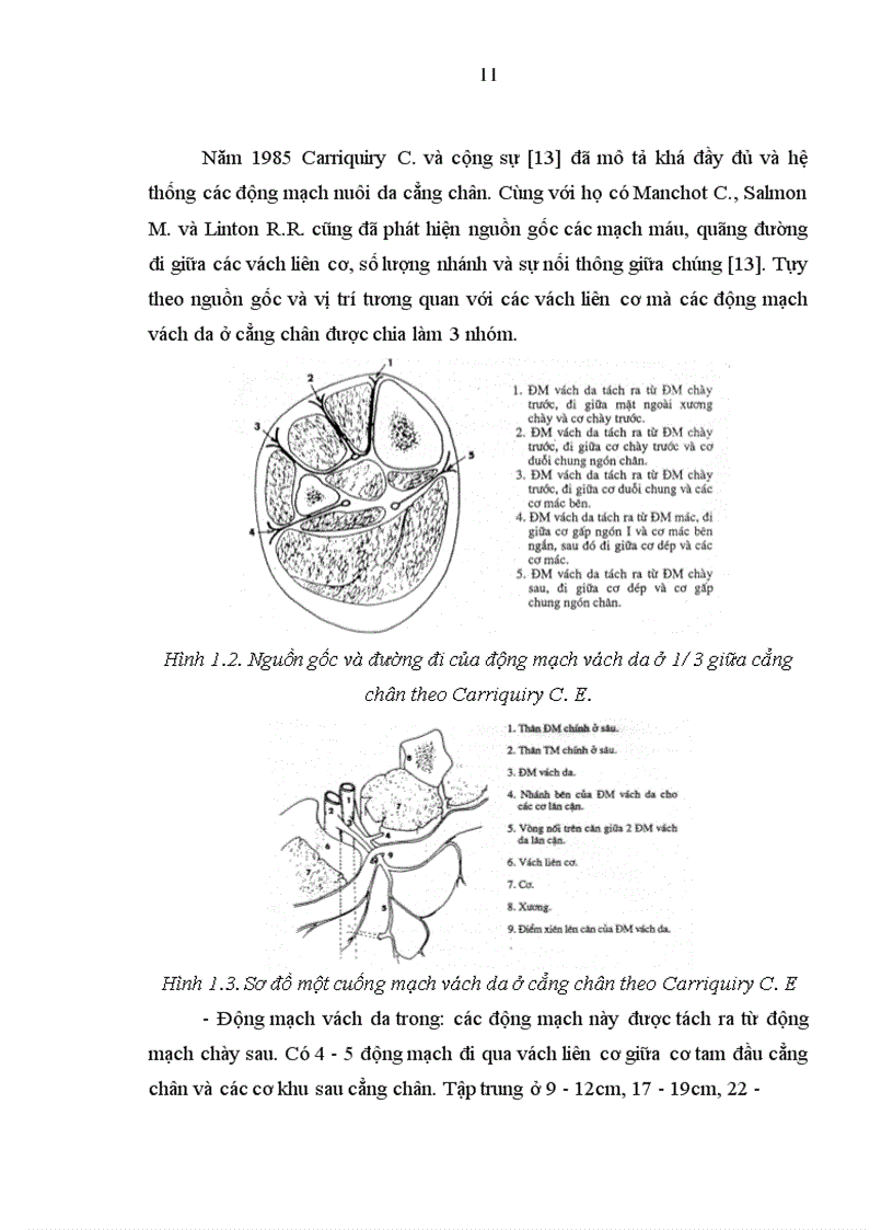 image for page Nghiên cứu vạt nhánh xuyên động mạch bắp chân trong và bước đầu ứng dụng trong phẫu thuật tạo hình