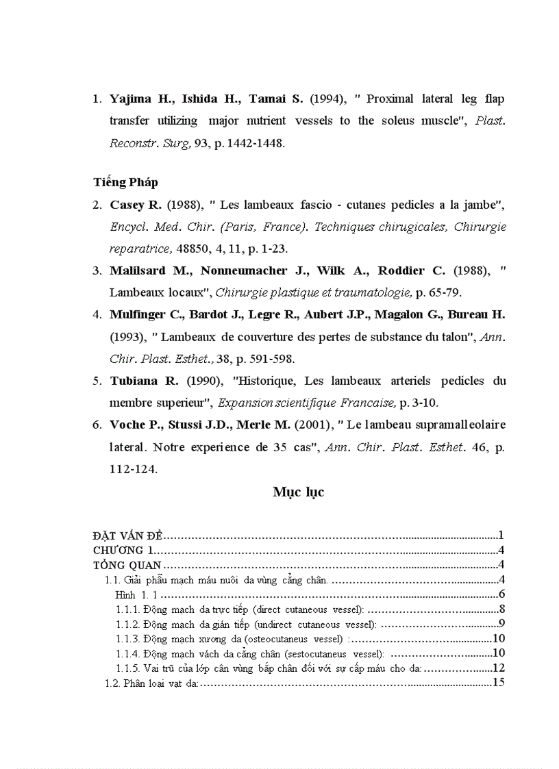 image for page Nghiên cứu vạt nhánh xuyên động mạch bắp chân trong và bước đầu ứng dụng trong phẫu thuật tạo hình
