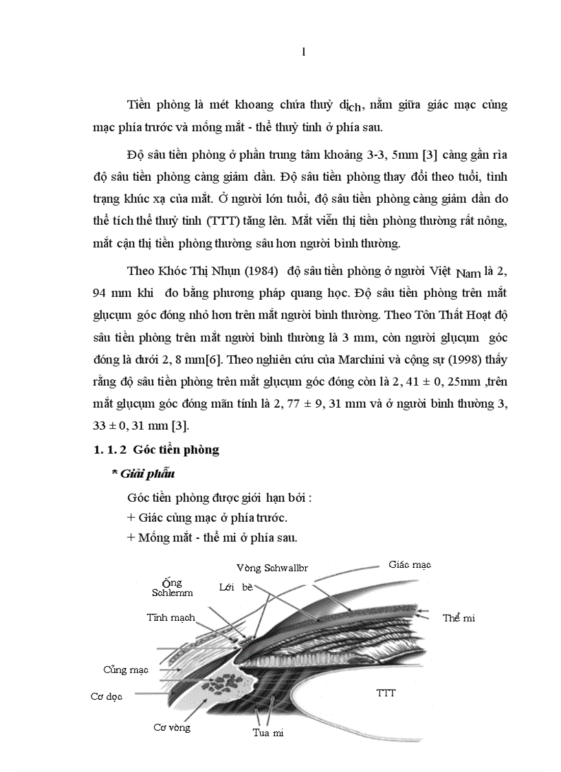 Đánh giá kết quả lâu dài của phẫu thuật cắt mống mắt chu biên điều trị glụcụm góc đóng nguyên phát tại khoa Glụcụm Bệnh viện Mắt Trung ương