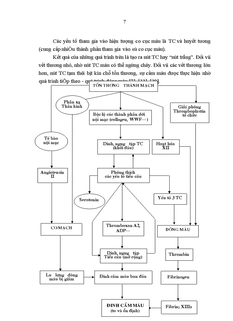 image for page Đánh giá đặc điểm rối loạn đông cầm máu về lâm sàng và xét nghiệm ở các bệnh nhân điều trị tại Viện Huyết học Truyền máu Trung ương từ tháng 8 2007 đến tháng 7 2008