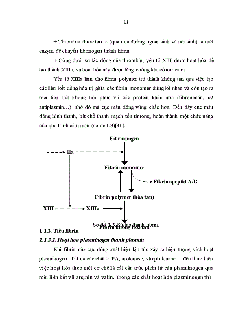 image for page Đánh giá đặc điểm rối loạn đông cầm máu về lâm sàng và xét nghiệm ở các bệnh nhân điều trị tại Viện Huyết học Truyền máu Trung ương từ tháng 8 2007 đến tháng 7 2008