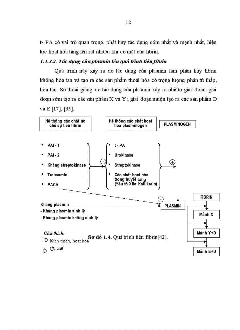 image for page Đánh giá đặc điểm rối loạn đông cầm máu về lâm sàng và xét nghiệm ở các bệnh nhân điều trị tại Viện Huyết học Truyền máu Trung ương từ tháng 8 2007 đến tháng 7 2008