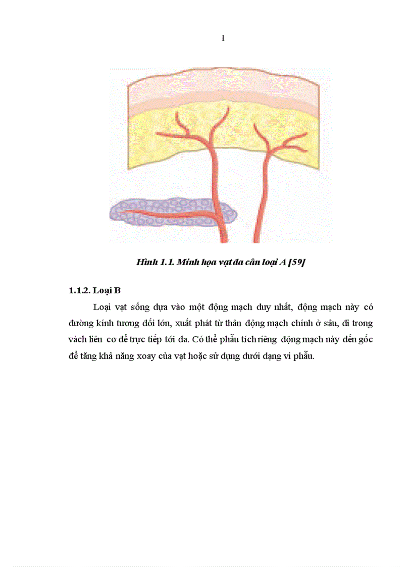 image for page Nghiên cứu đặc điểm giải phẫu và ứng dụng vạt da cân thượng đòn trong phẫu thuật tạo hình