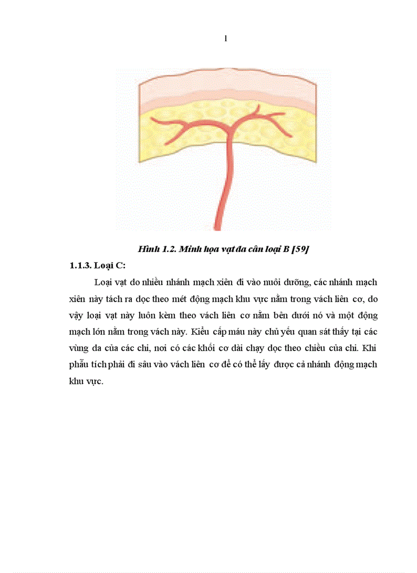 image for page Nghiên cứu đặc điểm giải phẫu và ứng dụng vạt da cân thượng đòn trong phẫu thuật tạo hình