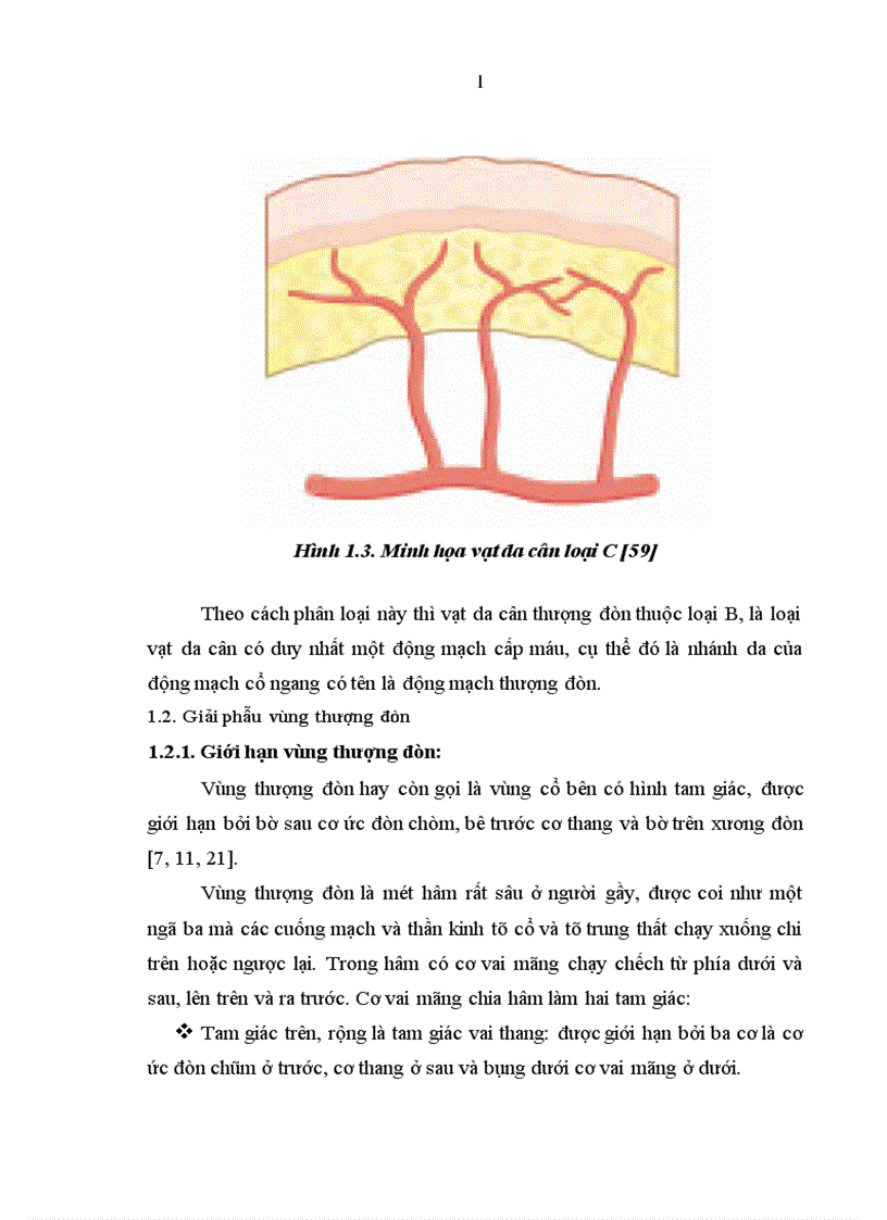 image for page Nghiên cứu đặc điểm giải phẫu và ứng dụng vạt da cân thượng đòn trong phẫu thuật tạo hình