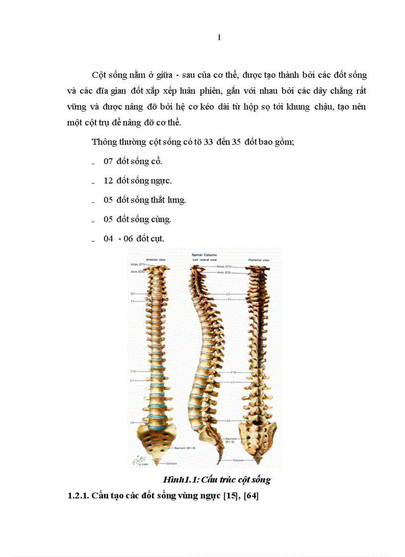 image for page Đặc điểm lâm sàng cận lâm sàng và Đánh giá kết quả điều trị phẫu thuật cố định cột sống ngực bằng phương pháp bắt vít qua cuống và giải ép lối sau tại bệnh viện việt đức