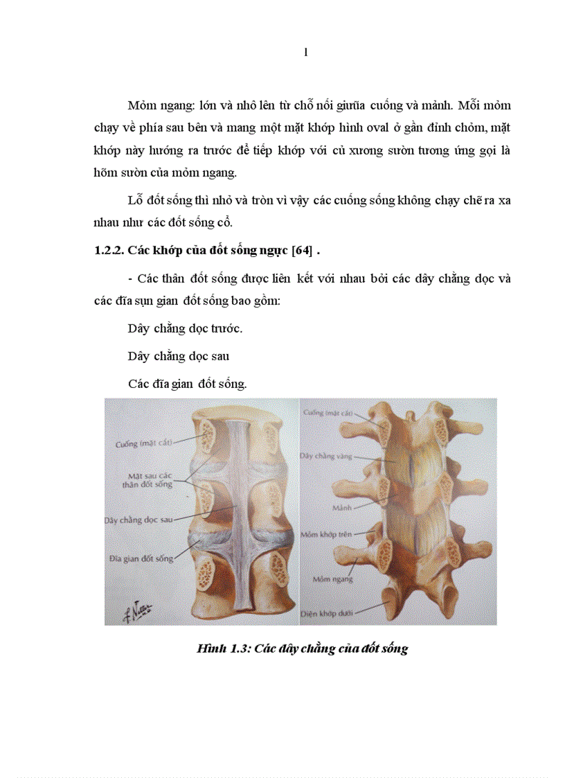 image for page Đặc điểm lâm sàng cận lâm sàng và Đánh giá kết quả điều trị phẫu thuật cố định cột sống ngực bằng phương pháp bắt vít qua cuống và giải ép lối sau tại bệnh viện việt đức