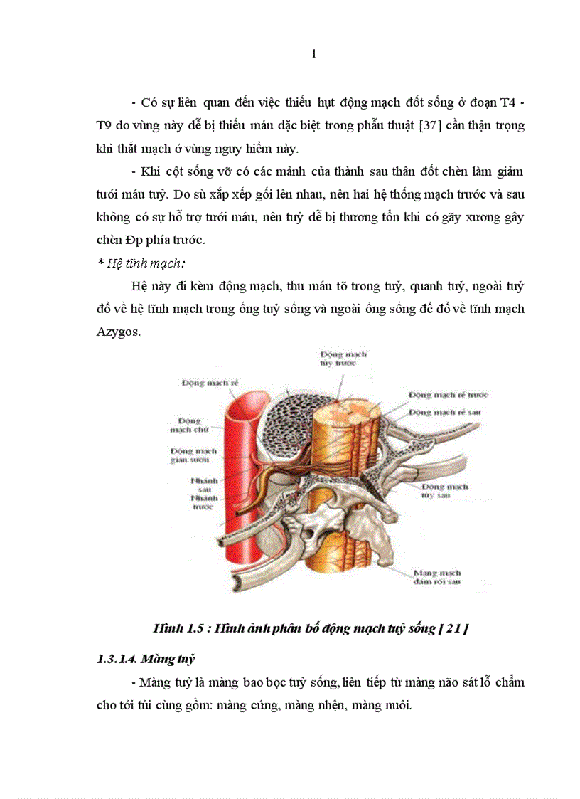 image for page Đặc điểm lâm sàng cận lâm sàng và Đánh giá kết quả điều trị phẫu thuật cố định cột sống ngực bằng phương pháp bắt vít qua cuống và giải ép lối sau tại bệnh viện việt đức