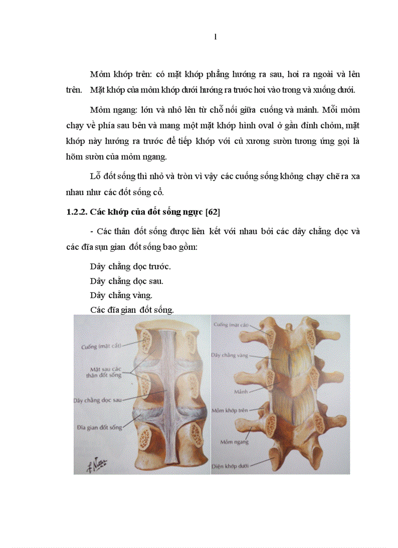 image for page Đánh giá kết quả điều trị phẫu thuật cố định cột sống ngực bằng phương pháp bắt vít qua cuống và giải ép lối sau tại bệnh viện việt đức