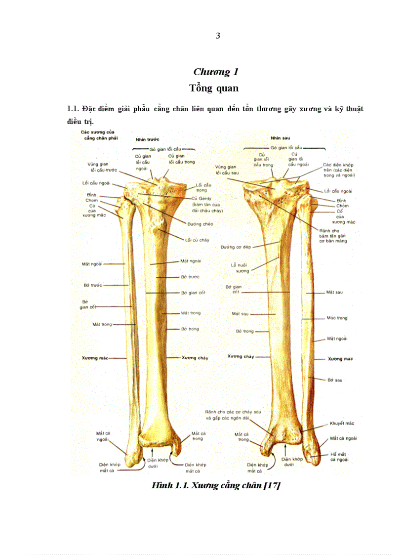 image for page Đánh giá tác dụng khung CĐN FESSA trong điều trị gãy hở xương cẳng chân tại Bệnh viện Việt Đức trong năm 2004 2005