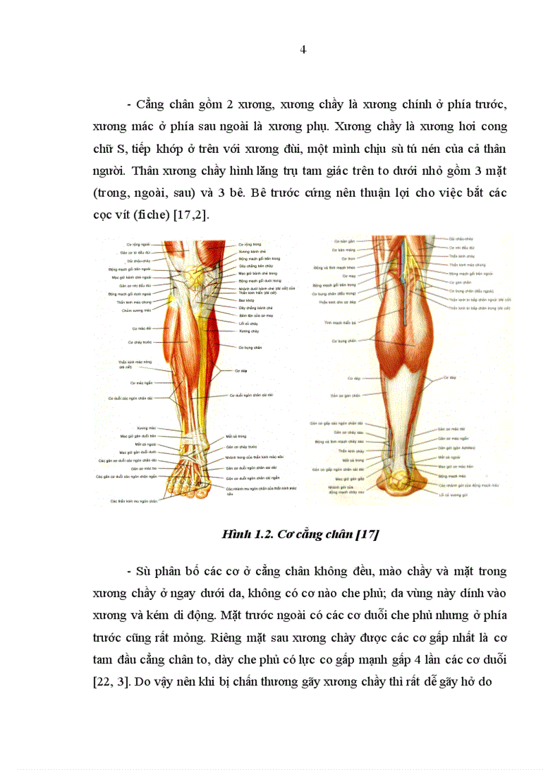 image for page Đánh giá tác dụng khung CĐN FESSA trong điều trị gãy hở xương cẳng chân tại Bệnh viện Việt Đức trong năm 2004 2005