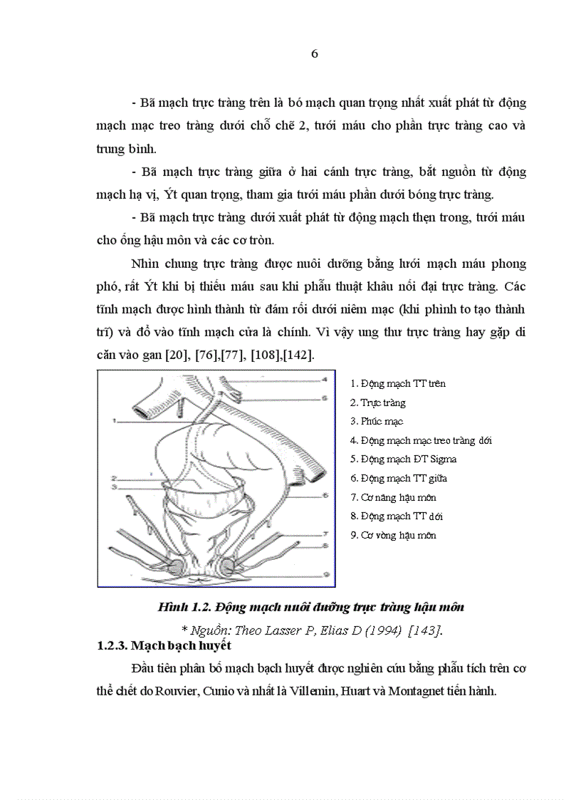 image for page Nghiên cứu giá trị của phương pháp thăm trực tràng chụp cắt lớp vi tính chụp cộng hưởng từ trong xác định mức xâm lấn ung thư biểu mô trực tràng được phẫu thuật triệt căn 1