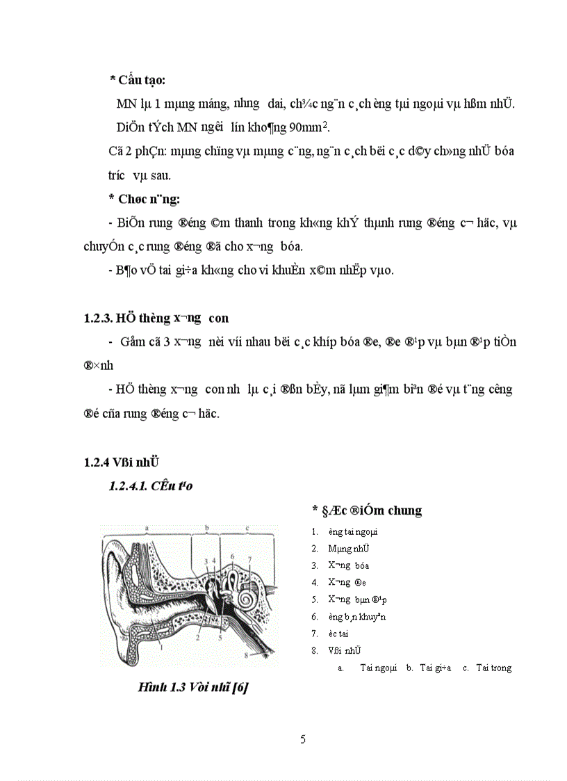 image for page Nghiên cứu hình thái biến động của nhĩ đồ trong viêm tai màng nhĩ đóng kín