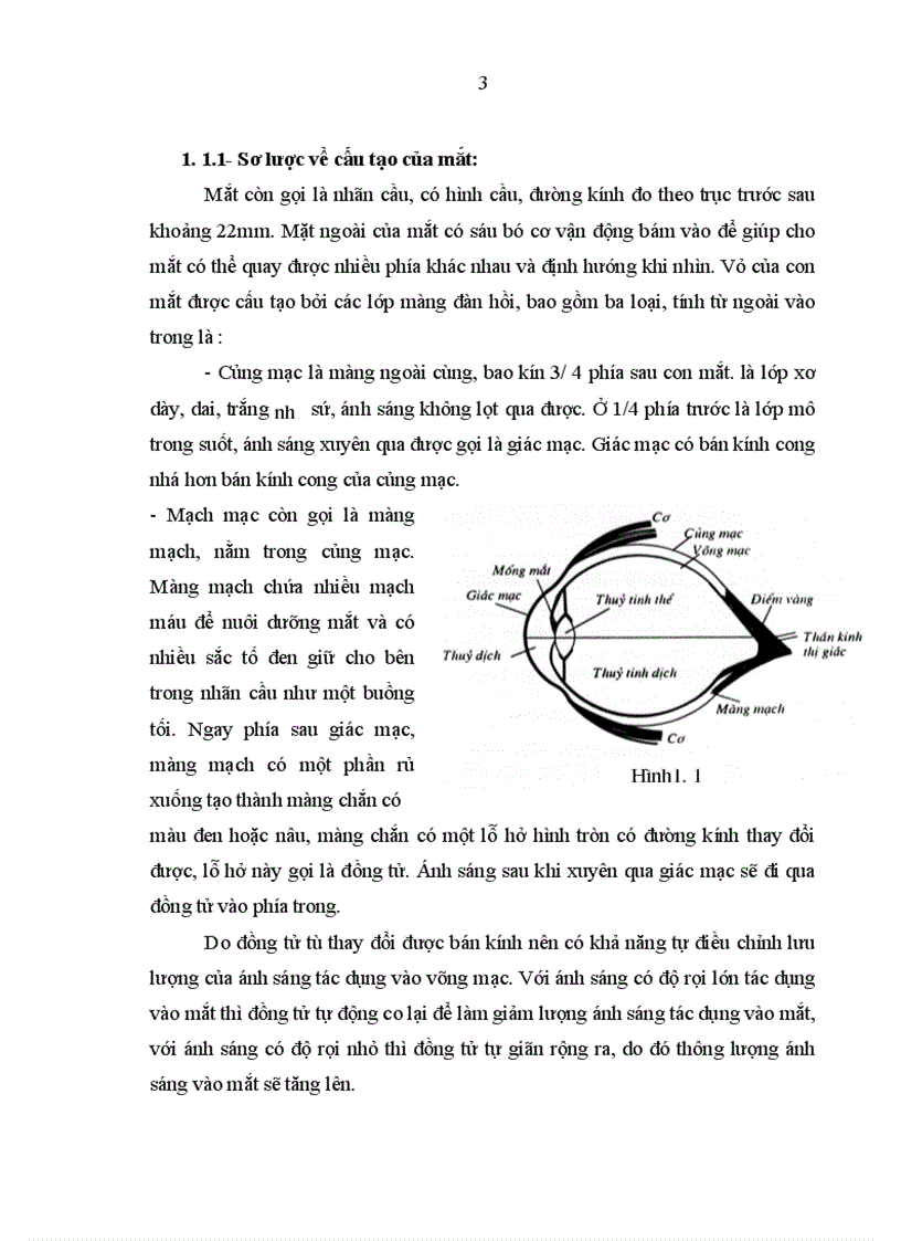 image for page Nghiên cứu đặc điểm lâm sàng cận lâm sàng của bệnh cận thị người trưởng thành và kết quả điều trị bằng phương pháp tán nhuyễn thể thủy tinh 1