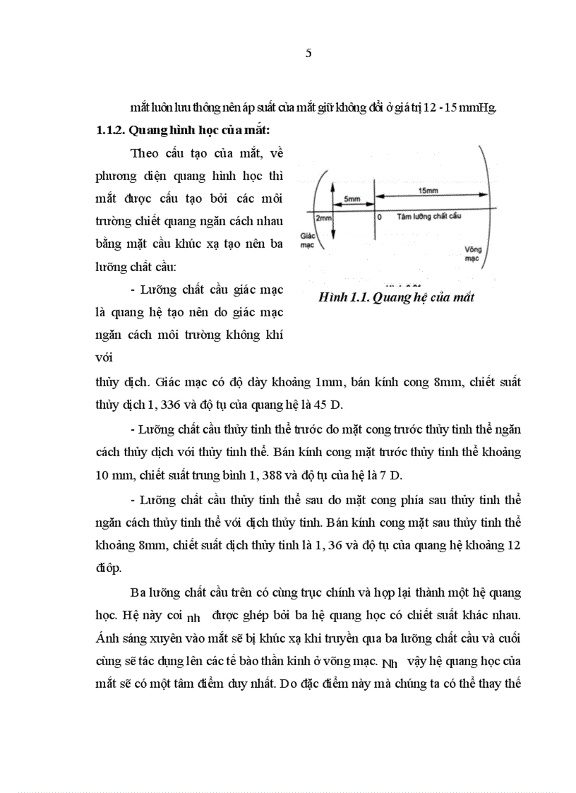 image for page Nghiên cứu đặc điểm lâm sàng cận lâm sàng của bệnh cận thị người trưởng thành và kết quả điều trị bằng phương pháp tán nhuyễn thể thủy tinh 1