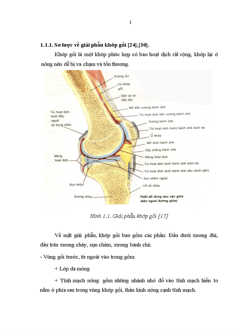 image for page Đánh giá tình hình bệnh khớp tại Khoa cơ xương khớp Bệnh viện Bạch Mai trong 10 năm 1991 2000