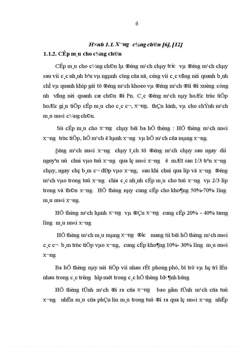 image for page Đánh giá kết quả điều trị gãy kín thân xương đùi người lớn bằng đinh SINGN có chốt tại bệnh viện Việt Đức từ 2004 2005
