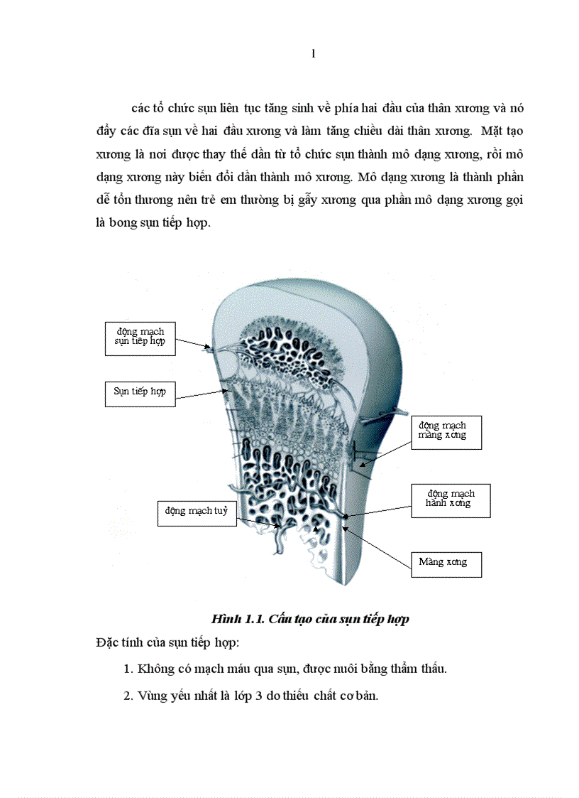 image for page Đánh giá kết qủa điều trị gẫy kín thân xương đùi trẻ em do chấn thương bằng kết hợp xương tại Bệnh viện Việt Đức 1