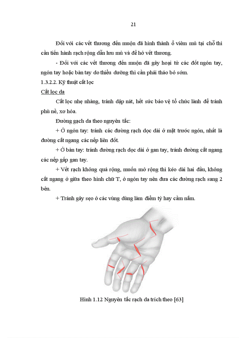 image for page Nghiên cứu đặc điểm tổn thương và đánh giá kết quả điều trị vết thương bàn tay tại Bệnh viện Xanh Pôn