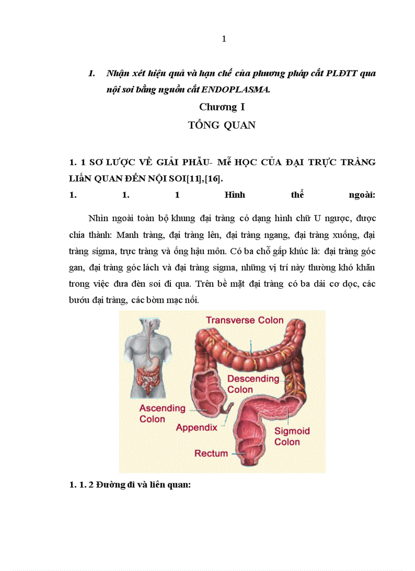 image for page Nhận xét hình ảnh nội soi mô bệnh học của polyp đại trực tràng và kết quả cắt polyp bằng nguồn cắt ENDOPLASMA