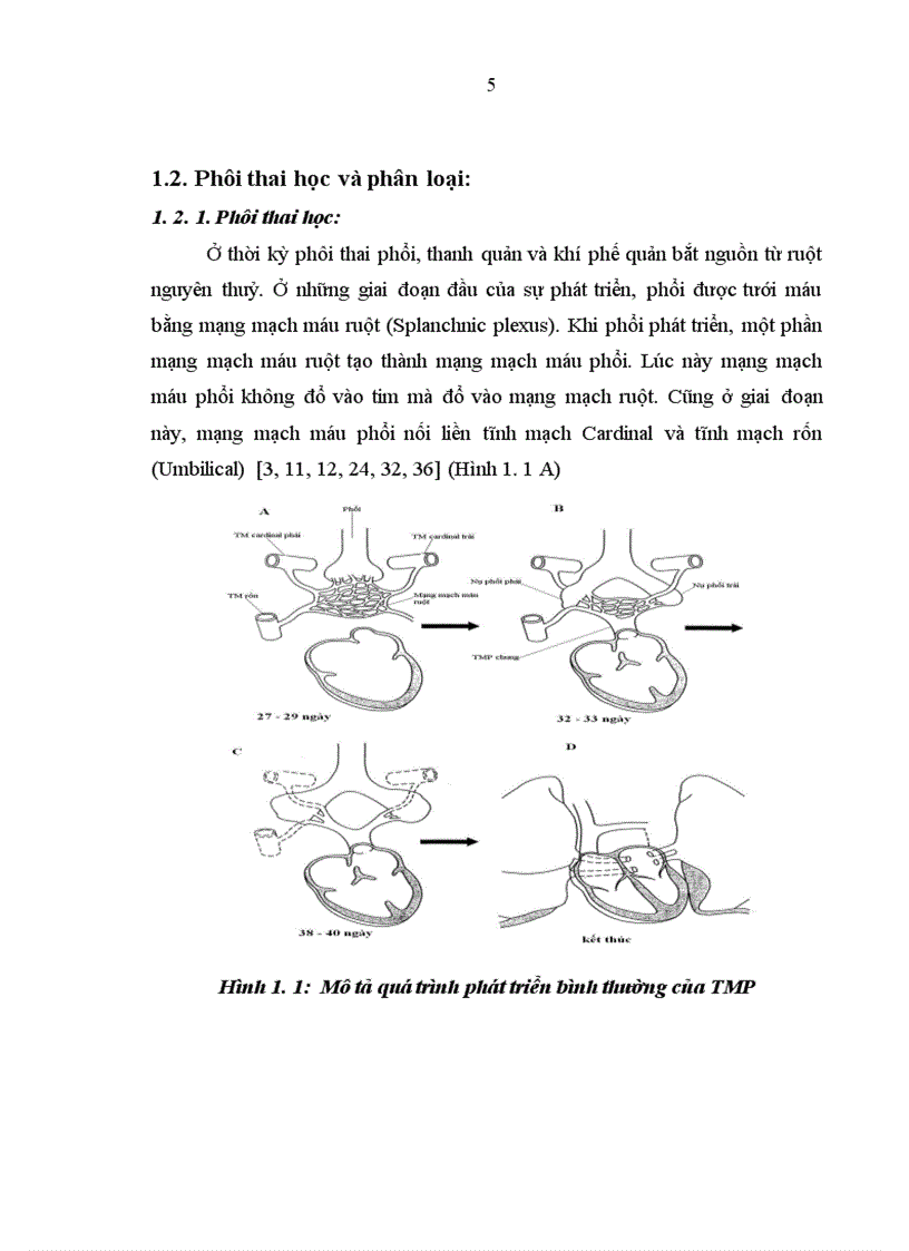 image for page Nghiên cứu đặc điểm lâm sàng cận lâm sàng bệnh tĩnh mạch phổi về lạc chỗ hoàn toàn ở trẻ em