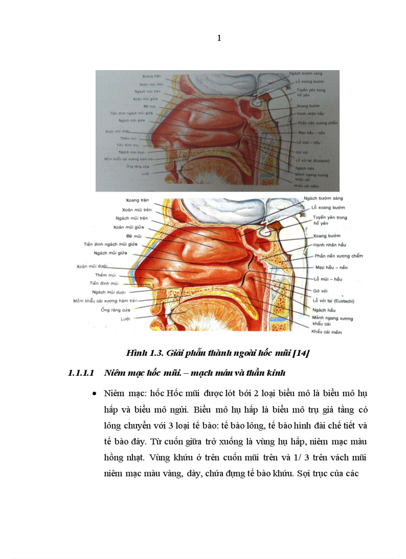 image for page Nghiên cứu đặc điểm lâm sàng và chụp cắt lớp vi của chấn thương tháp mũi