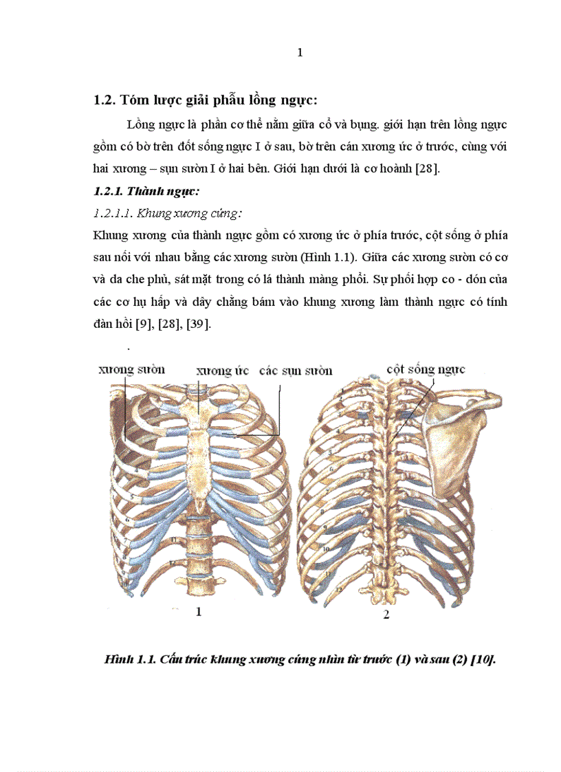 image for page Nghiên cứu đặc điểm lâm sàng cận lâm sàng và kết quả điều trị tràn máu tràn khí màng phổi hai bên trong chấn thương ngực kín