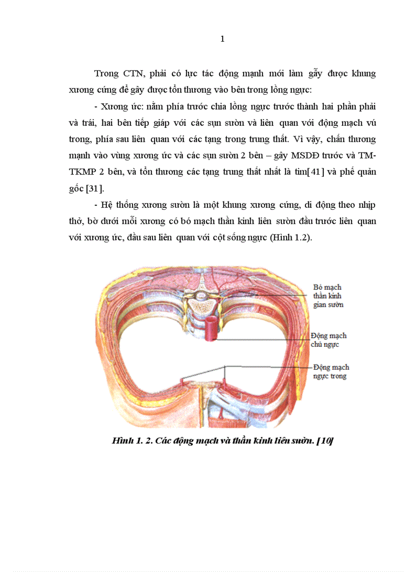 image for page Nghiên cứu đặc điểm lâm sàng cận lâm sàng và kết quả điều trị tràn máu tràn khí màng phổi hai bên trong chấn thương ngực kín