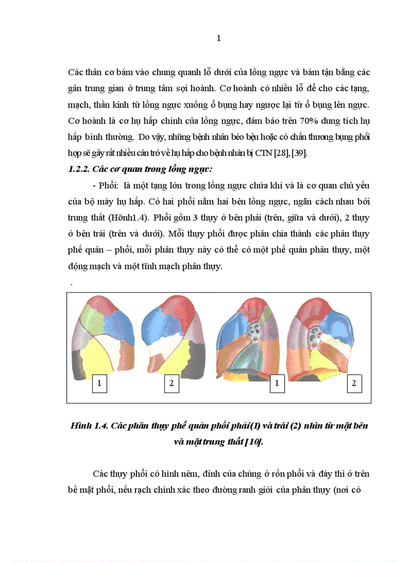 image for page Nghiên cứu đặc điểm lâm sàng cận lâm sàng và kết quả điều trị tràn máu tràn khí màng phổi hai bên trong chấn thương ngực kín