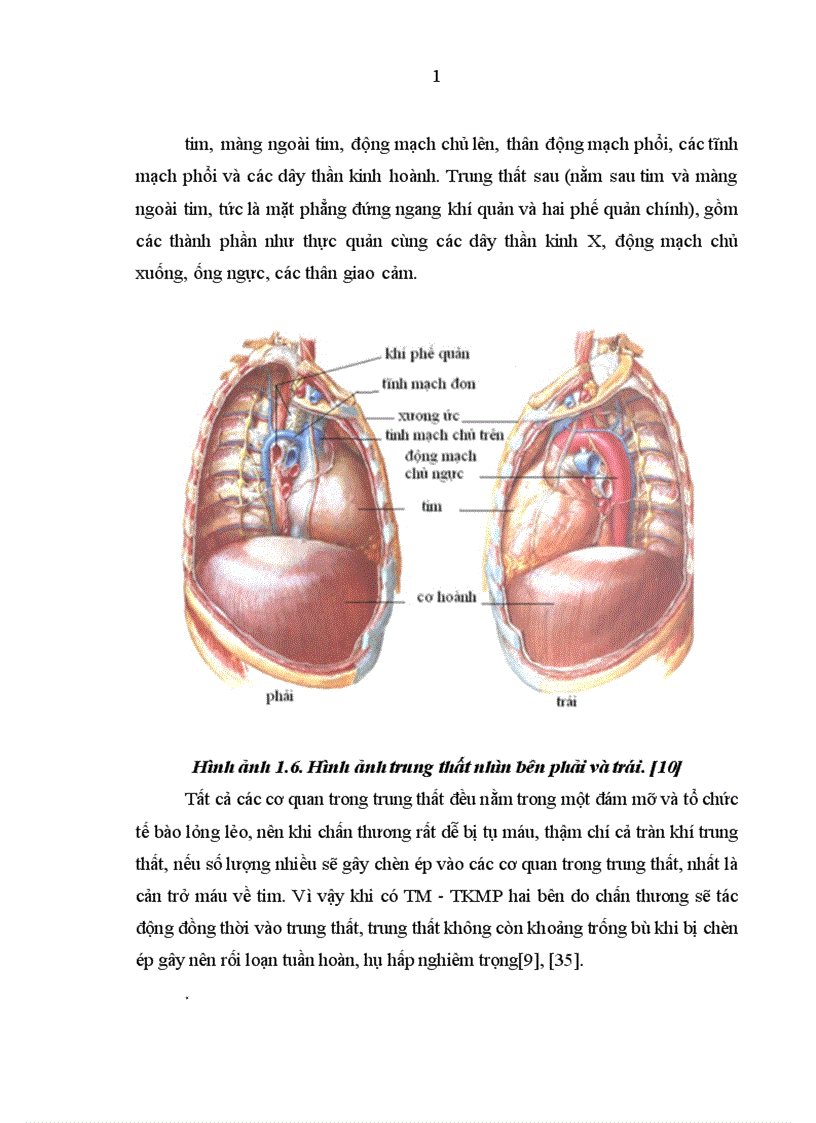 image for page Nghiên cứu đặc điểm lâm sàng cận lâm sàng và kết quả điều trị tràn máu tràn khí màng phổi hai bên trong chấn thương ngực kín