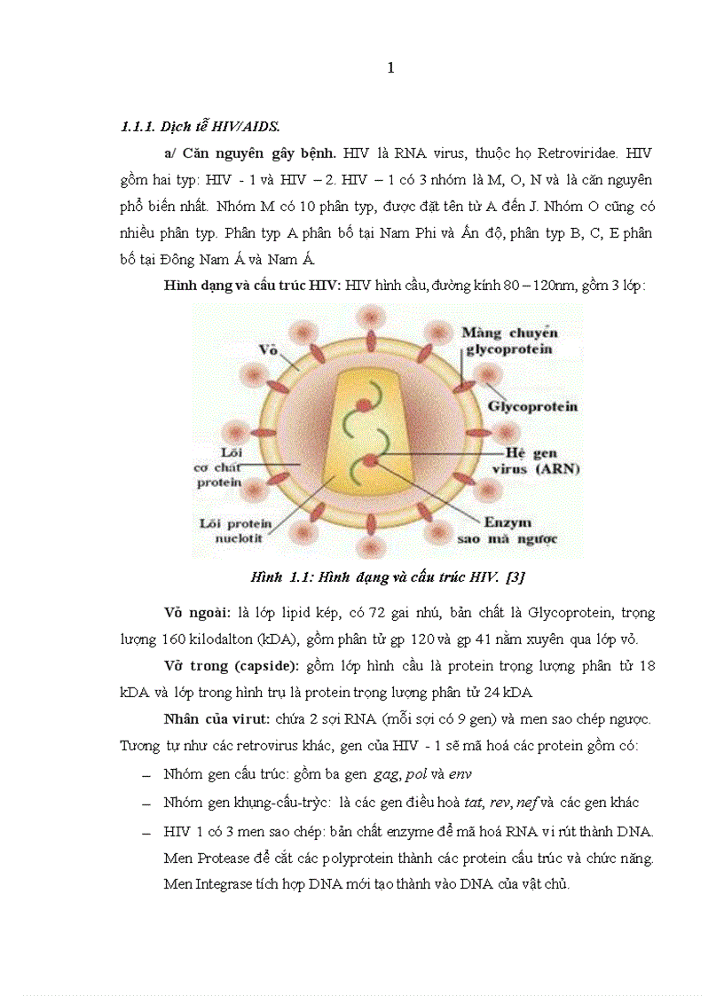 image for page Tình trạng đồng nhiễm viêm gan B và viêm gan C ở người nhiễm HIV AIDS tại Bệnh viện Bệnh nhiệt đới Trung ương