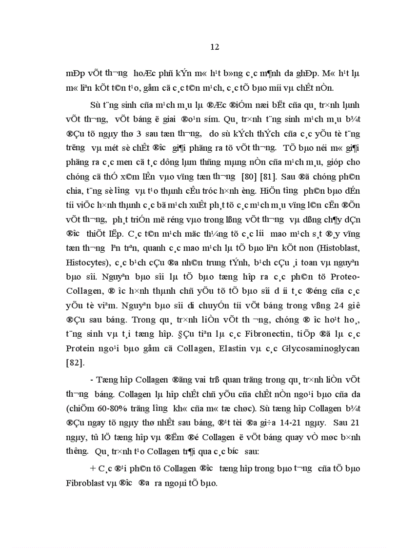 image for page Nghiên cứu hiệu quả kháng Pseudomonas aeruginosa và Staphylocous aureus của cao Lô hội trên thực nghiệm