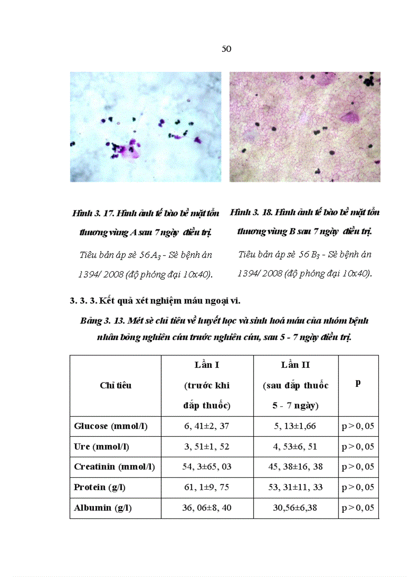 image for page Nghiên cứu hiệu quả kháng Pseudomonas aeruginosa và Staphylocous aureus của cao Lô hội trên thực nghiệm