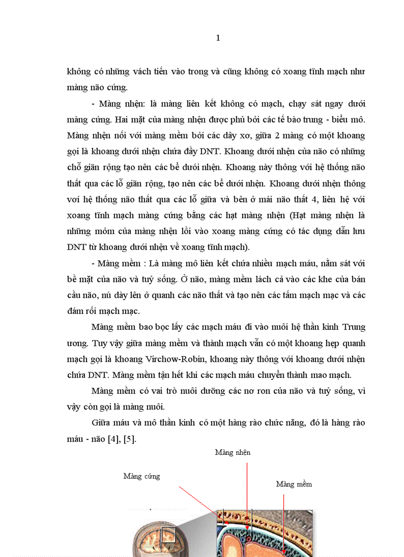 image for page Đánh giá các hình ảnh bất thường của não màng não trên phim CCLVTSN trong bệnh VMNM ở trẻ em