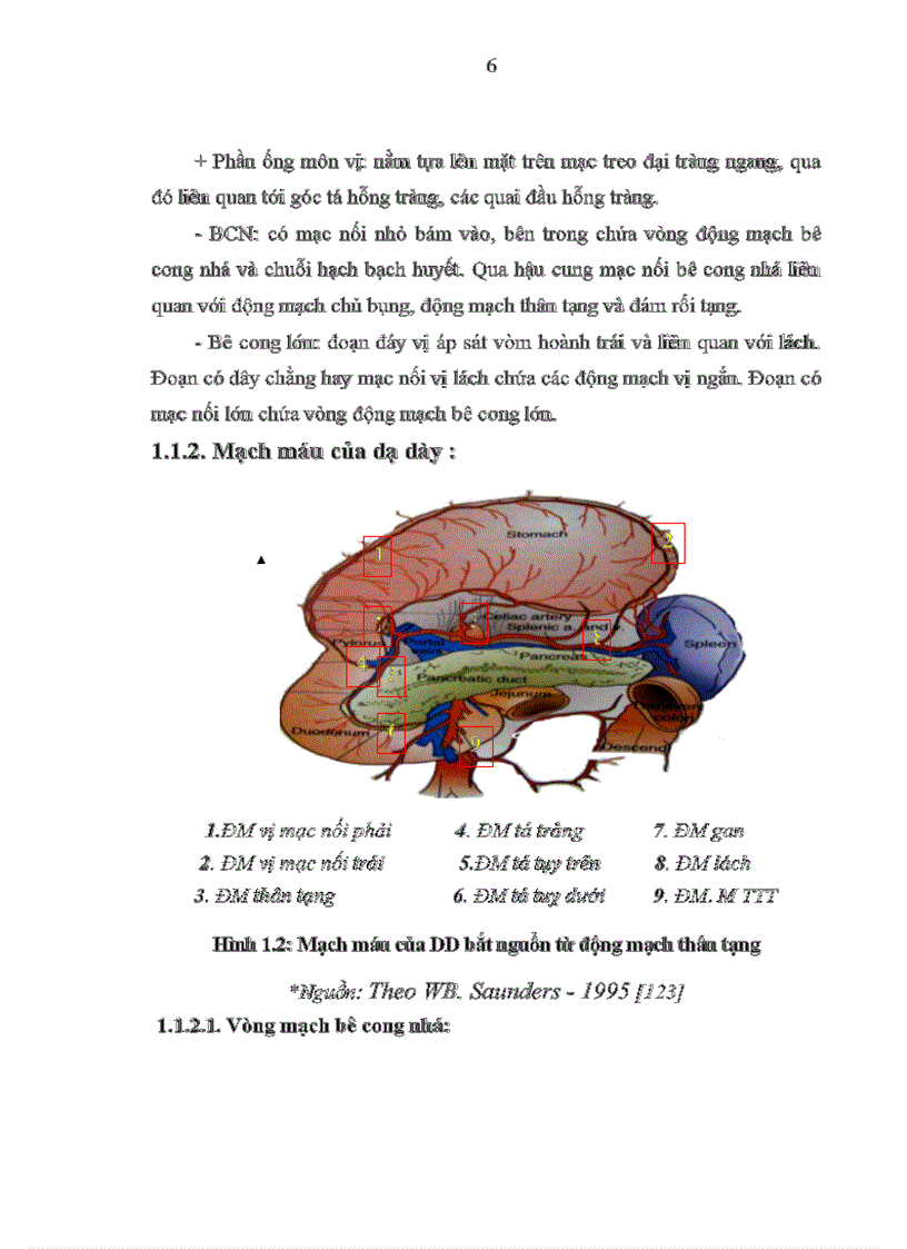 image for page Đánh giá kết quả điều trị bệnh UTDD bằng phẫu thuật triệt căn và hoá trị bổ trợ tại khoa ngoại bệnh viện Việt Tiệp Hải Phòng từ 2001 đến 2007
