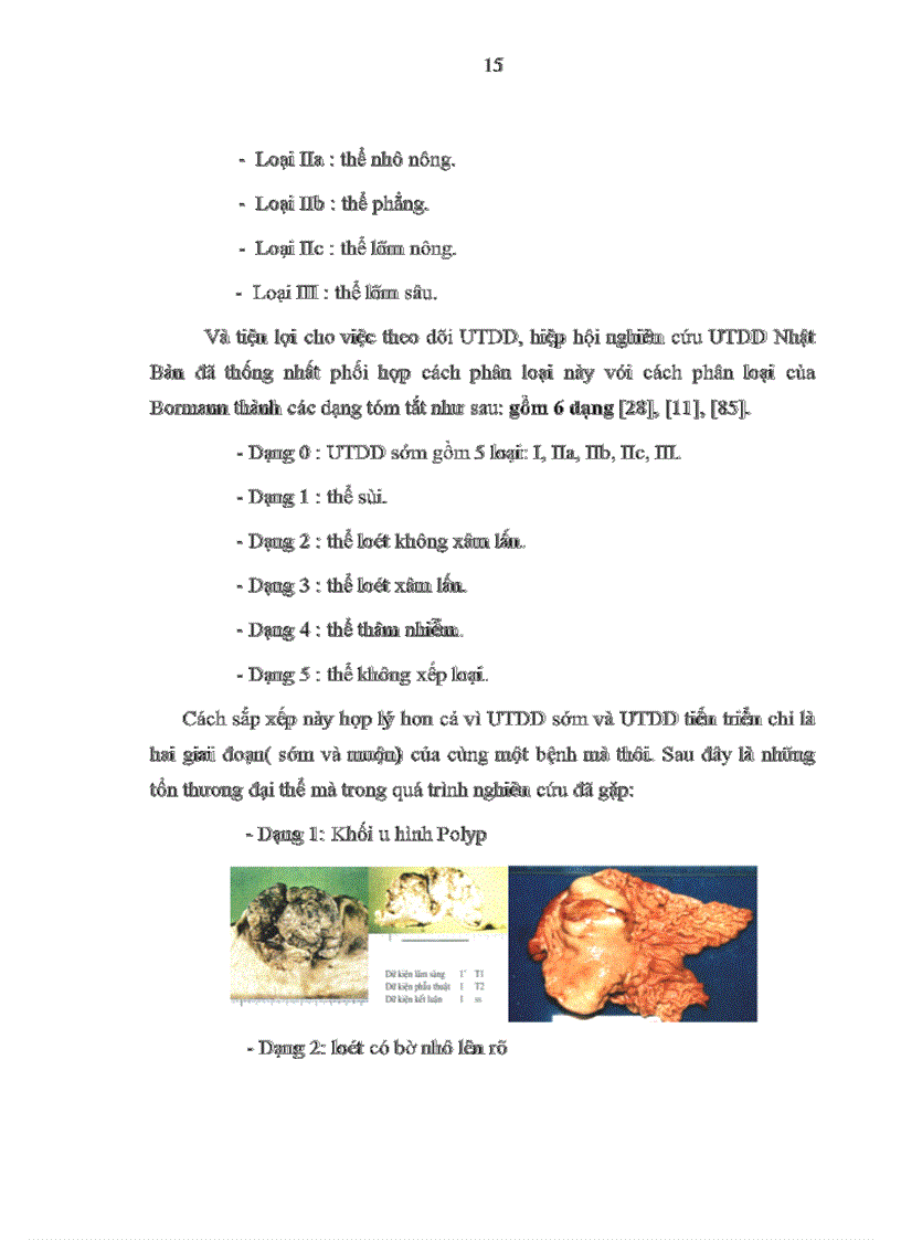 image for page Đánh giá kết quả điều trị bệnh UTDD bằng phẫu thuật triệt căn và hoá trị bổ trợ tại khoa ngoại bệnh viện Việt Tiệp Hải Phòng từ 2001 đến 2007