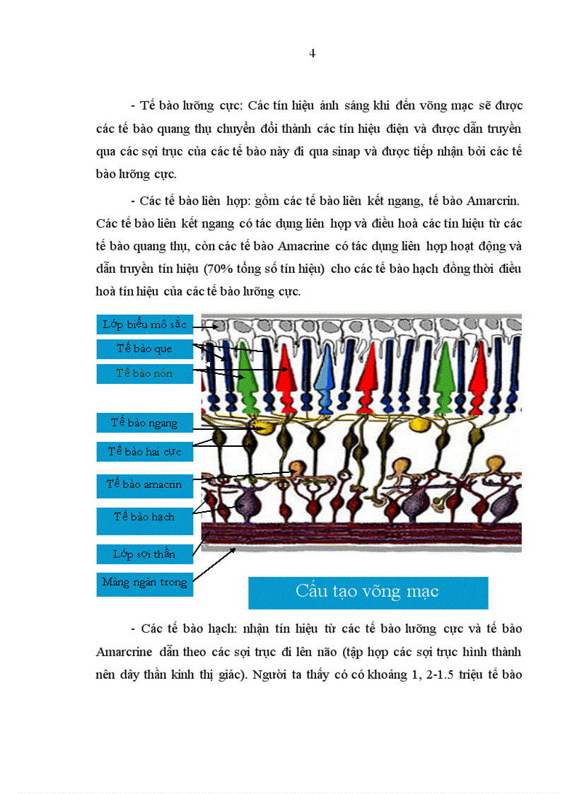 image for page Nghiên cứu ứng dụng thị trường kế Humphrey Matrix phát hiện tổn thương thị trường trong bệnh glôcôm góc mở nguyên phát