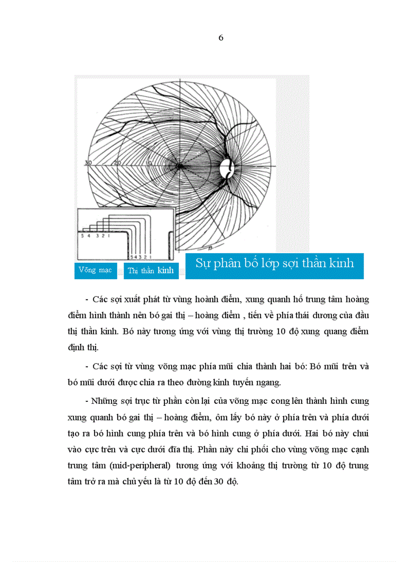 image for page Nghiên cứu ứng dụng thị trường kế Humphrey Matrix phát hiện tổn thương thị trường trong bệnh glôcôm góc mở nguyên phát