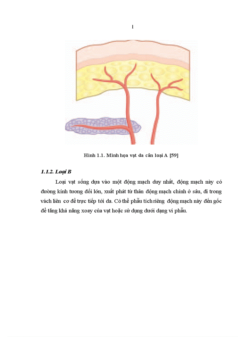 image for page Nghiên cứu đặc điểm giải phẫu và ứng dụng vạt da cân thượng đòn trong phẫu thuật tạo hình 1