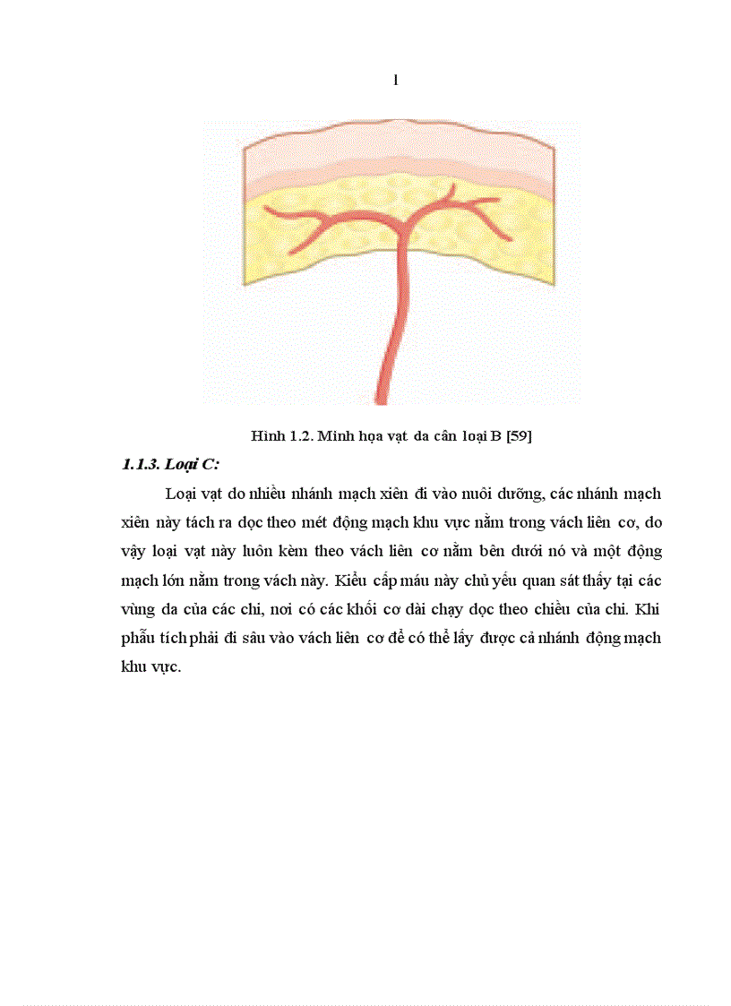 image for page Nghiên cứu đặc điểm giải phẫu và ứng dụng vạt da cân thượng đòn trong phẫu thuật tạo hình 1