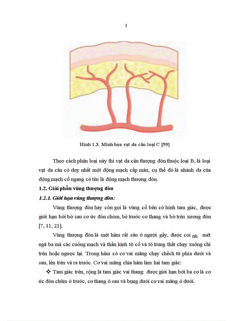 image for page Nghiên cứu đặc điểm giải phẫu và ứng dụng vạt da cân thượng đòn trong phẫu thuật tạo hình 1