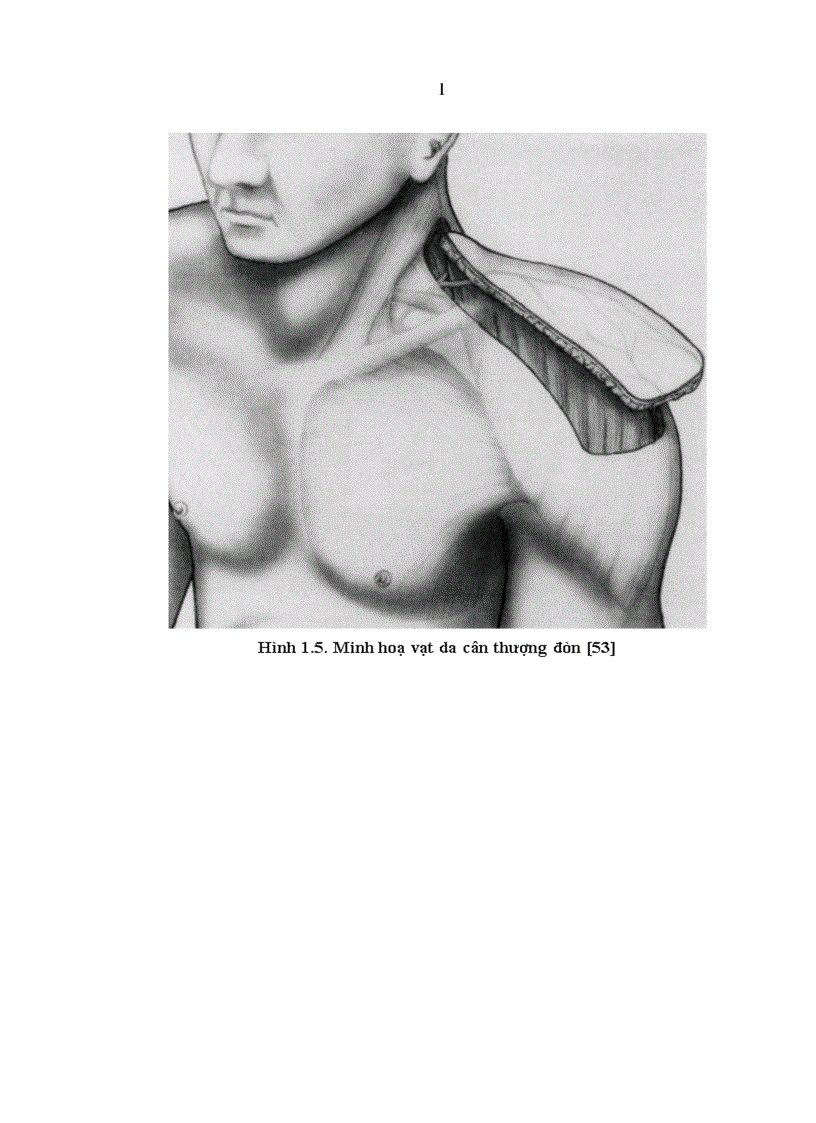 image for page Nghiên cứu đặc điểm giải phẫu và ứng dụng vạt da cân thượng đòn trong phẫu thuật tạo hình 1