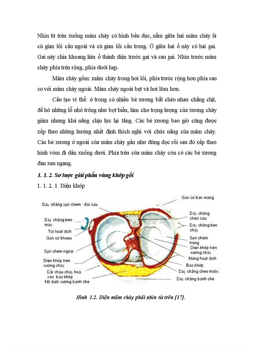 image for page Đánh giá kết quả điều trị gãy kín mâm chày do chấn thương bằng phương pháp kết hợp xương nẹp vít tại Viện CTCH Bệnh viện TƯQĐ 108