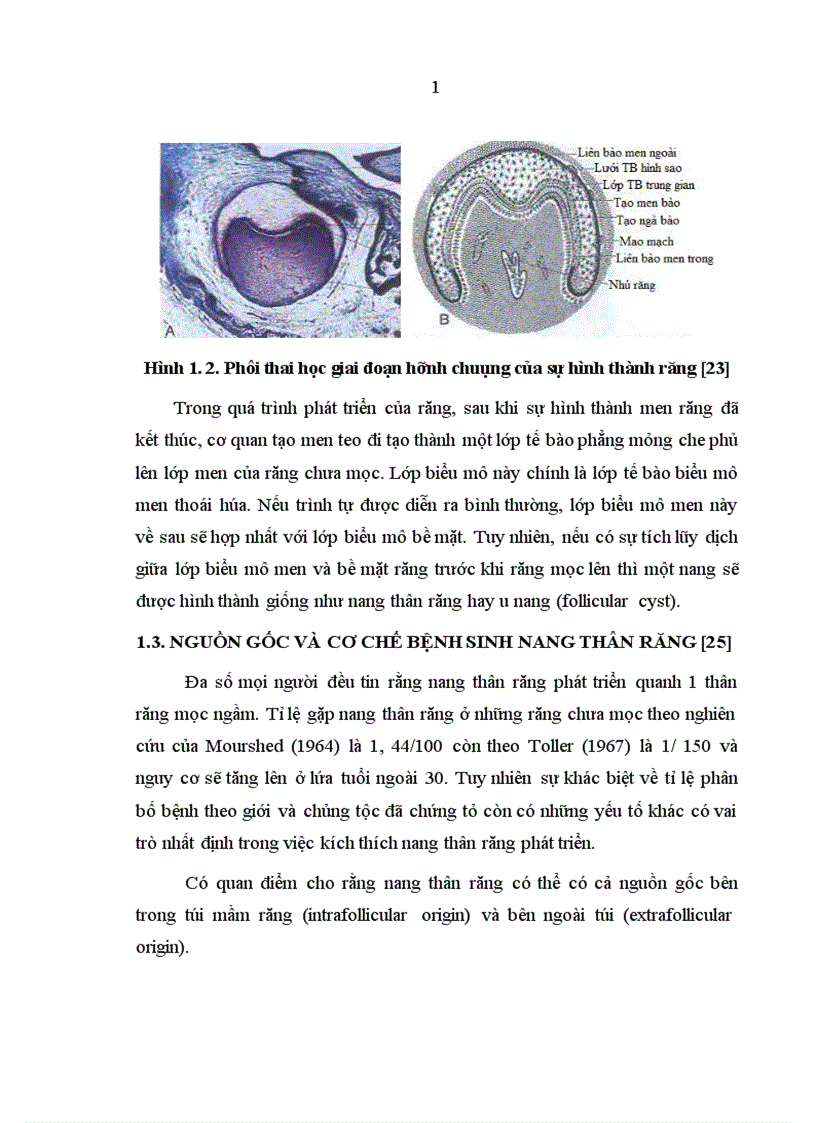 image for page Nhận xét lâm sàng hình ảnh X quang giải phẫu bệnh và đánh giá kết quả phẫu thuật nang thân răng