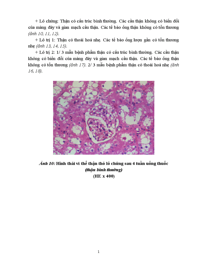 image for page Kết quả thử độc tính cấp và bán trường diễn của cao khô vương tôn