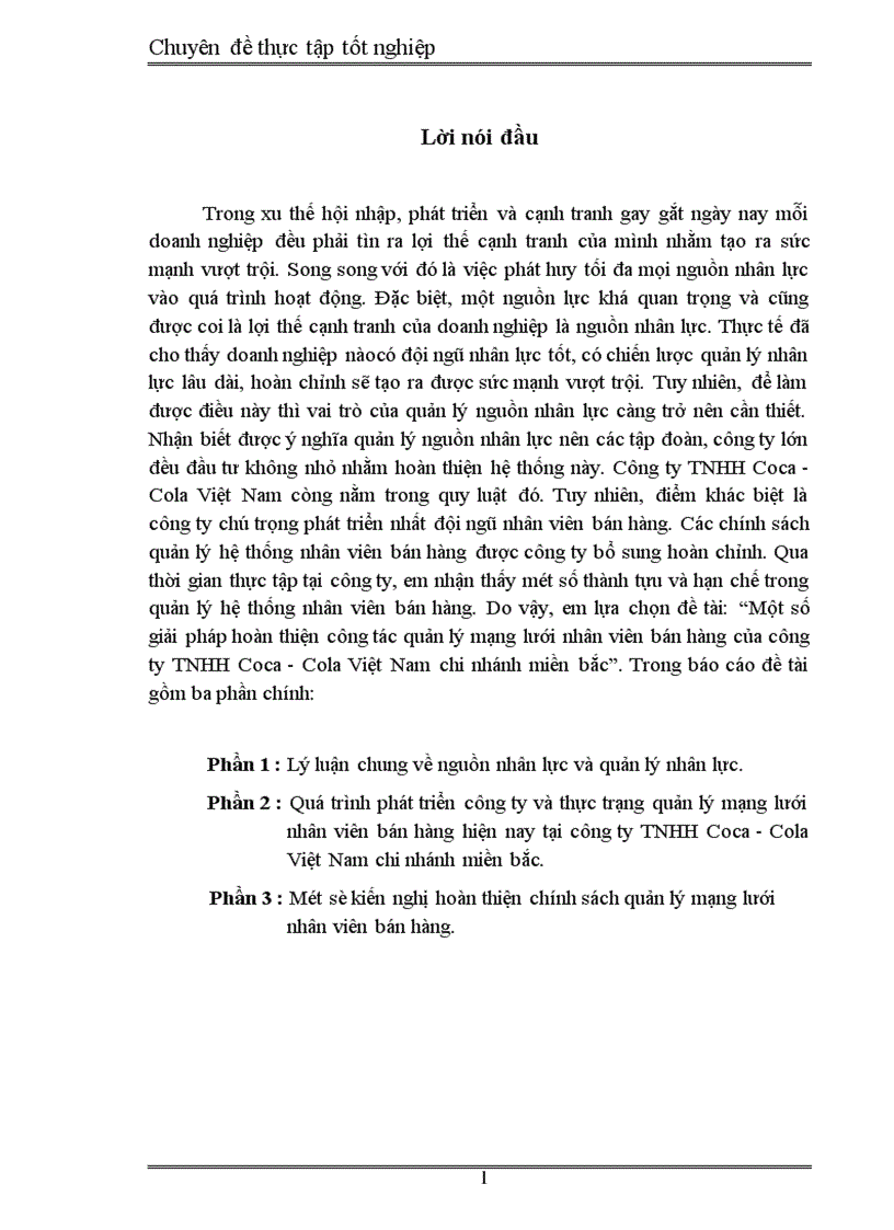 Một số giải pháp hoàn thiện công tác quản lý mạng lưới nhân viên bán hàng của công ty TNHH Coca Cola Việt Nam chi nhánh miền bắc 1