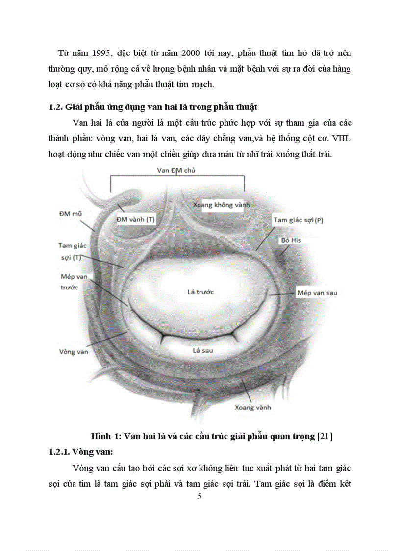 image for page Nghiên cứu đặc điểm lâm sàng và cận lâm sàng kết quả của phẫu thuật thay van hai lá cơ học tại bệnh viện Việt Đức