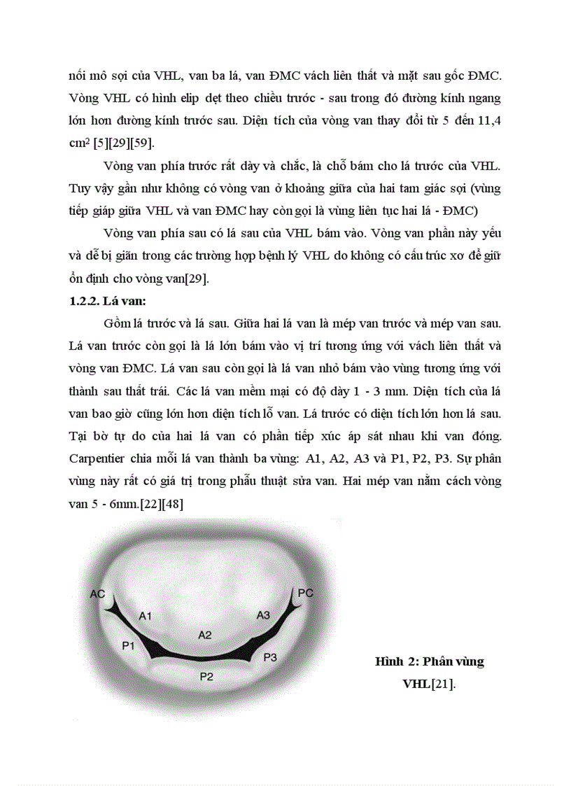 image for page Nghiên cứu đặc điểm lâm sàng và cận lâm sàng kết quả của phẫu thuật thay van hai lá cơ học tại bệnh viện Việt Đức