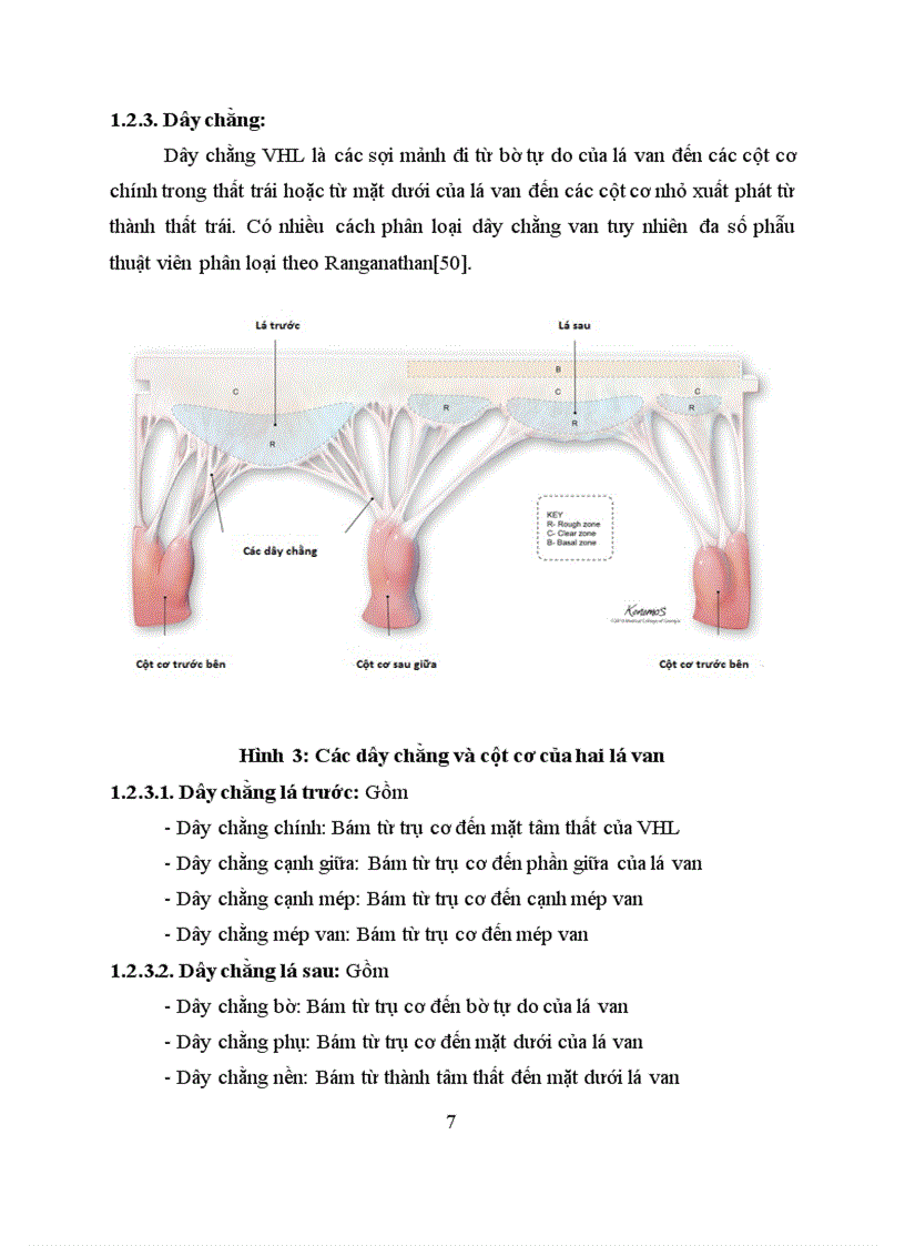 image for page Nghiên cứu đặc điểm lâm sàng và cận lâm sàng kết quả của phẫu thuật thay van hai lá cơ học tại bệnh viện Việt Đức